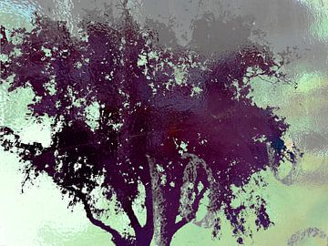 Tree Magic 36 van MoArt (Maurice Heuts)