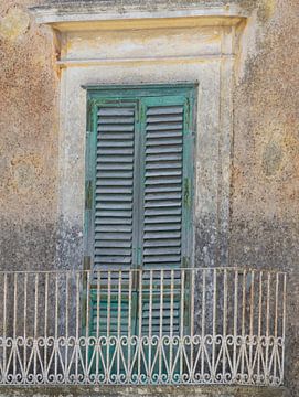 green shutters