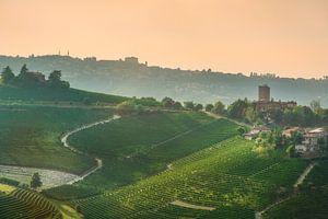 Goldene Stunde über dem Turm von Barbaresco in der Region Langhe