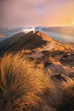 Nieuw-Zeeland Roy's Peak zonsopgang van Jean Claude Castor