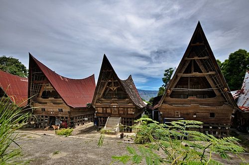 Reihe traditioneller Batak-Häuser von Frank Photos