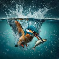 Geslaagde ijsvogel
