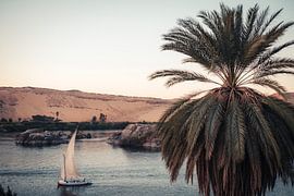 The Golden Sail – Evening Glow on the Nile by Milene van Arendonk