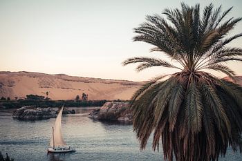 La Voile d'Or – Lueur du soir sur le Nil