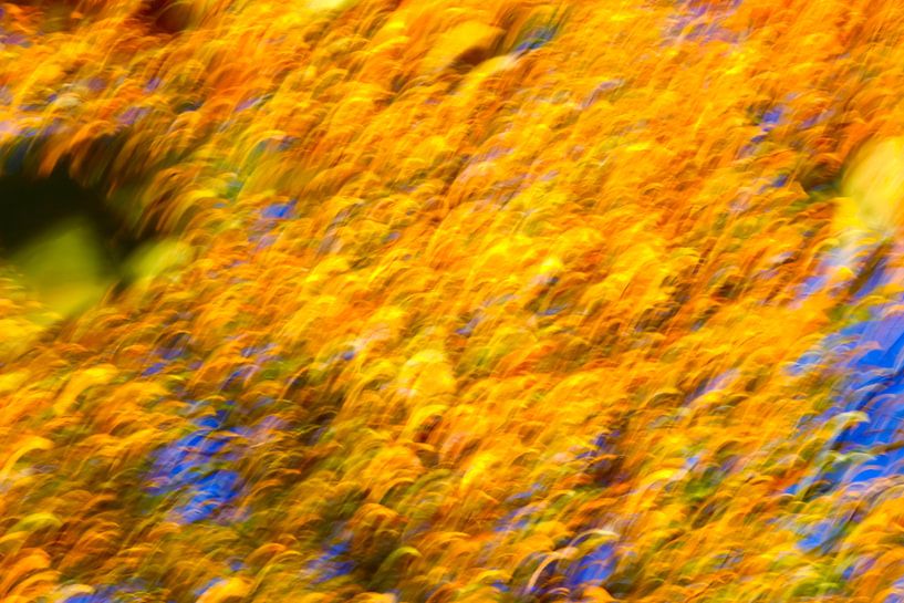 Goldener Oktober von Thomas Jäger