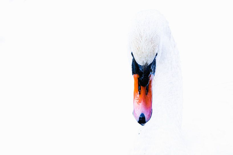 Minimalismus von WILBERT HEIJKOOP photography