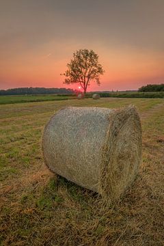 Hay rolls on a pasture by Moetwil en van Dijk - Fotografie