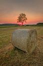 Hay rolls on a pasture by Moetwil en van Dijk - Fotografie thumbnail