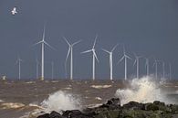 Windpark Westermeerwind von Ruud van der Lubben Miniaturansicht