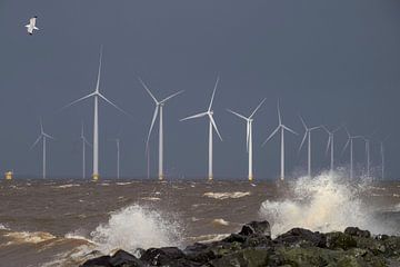 Windpark Westermeerwind van Ruud van der Lubben