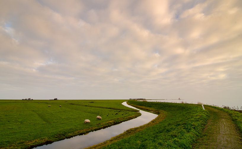 Marken 5 van Deshamer