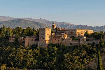 Alhambra - Granada  van Jack Koning