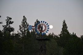 Western by Wessel Smit