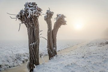 Winter in der Alblasserwaard von Ko Hoogesteger