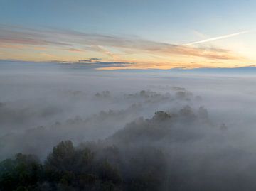 Mistig bos vanuit de lucht tijdens de herfst van Sjoerd van der Wal Fotografie