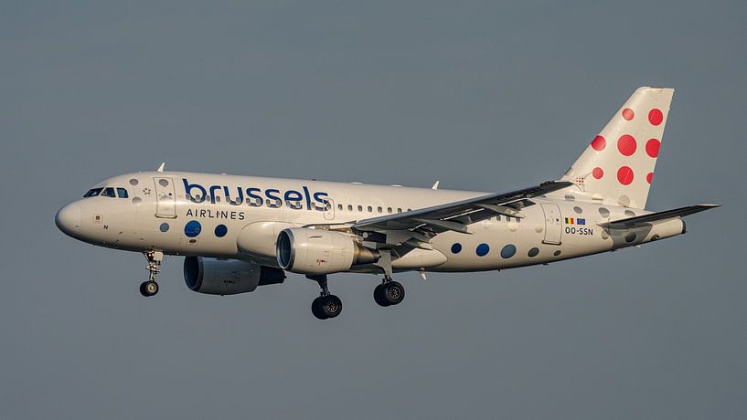 Passagierflugzeug Airbus A319-100 der Brussels Airlines. von Jaap van den Berg