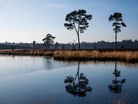 Spiegeling