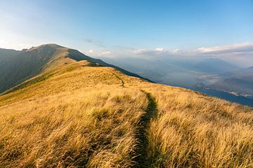 Beklimming door gras naar Monte Bregagno van Leo Schindzielorz