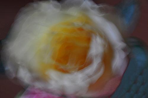 FLOWER DREAMS 35