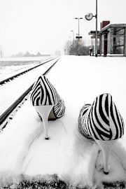 The train has left by Norbert Sülzner