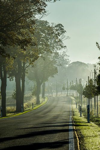 Landstraße in Brandenburg bei Sonnenaufgang IV