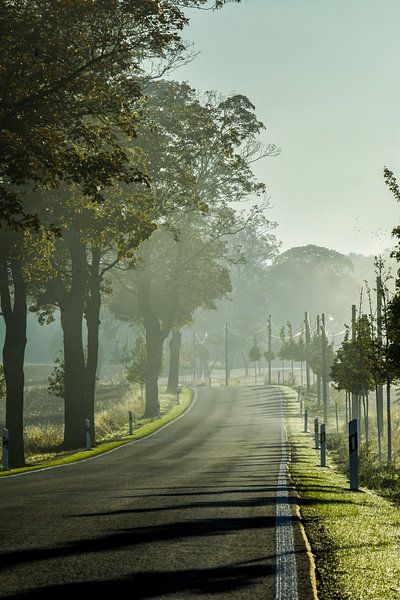 Country road at sunrise IV by SPUTNIKeins fotografie