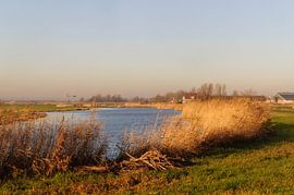 polderoever by Robert Lotman