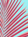 Tropisch blad 10 van Vitor Costa thumbnail
