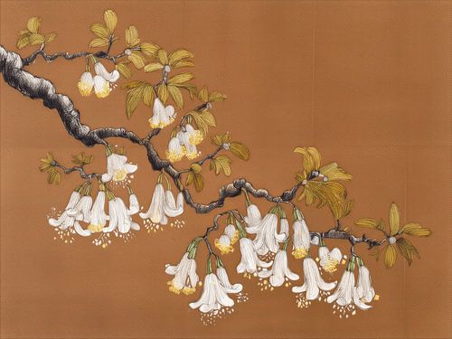 Elegant white amber tree blossom branch on a warm ochre background