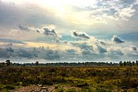 wolken over de heide