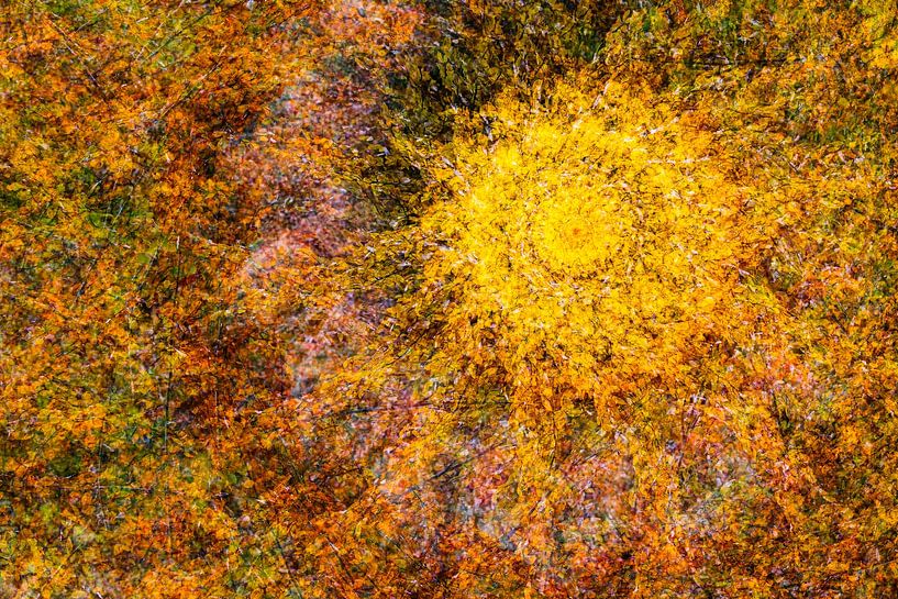 Sun wheel made from autumn leaves by Daniela Beyer