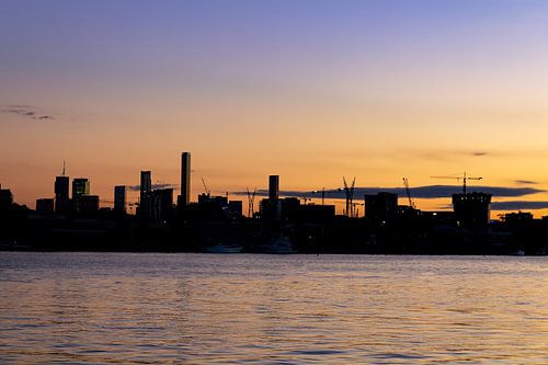 de silhouetten van Brisbane