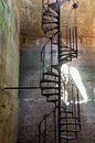 Spiral by Jaco Verheul thumbnail