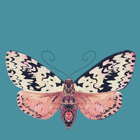 Moth black spots by Angela Peters