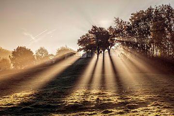 Sunrays in Camerig by Rob Boon