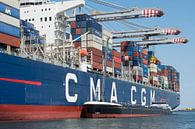 The international port of Rotterdam with the large container ship Jules Verne by Elles Rijsdijk thumbnail