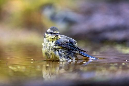 De kracht van eenvoud