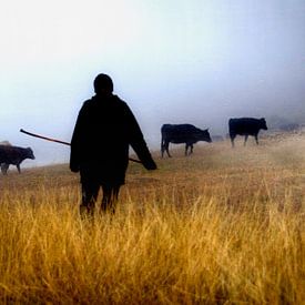 Shepherd herding cow in deserted area of Georgia by Anne Hana
