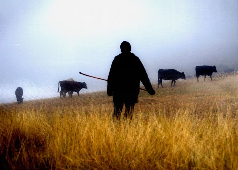 Shepherd herding cow in deserted area of Georgia par Anne Hana
