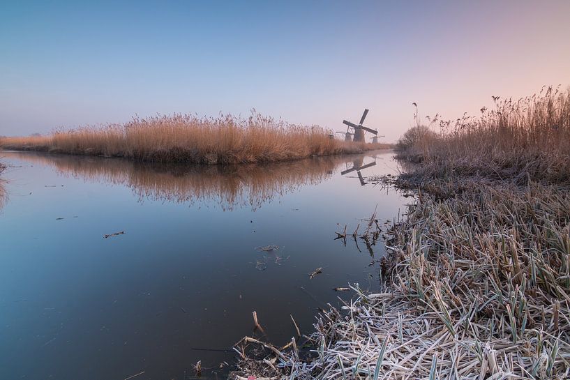 Cold morning in Kinderdijk van Ilya Korzelius