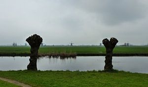 The Windmills of your mind sur Bert Seinstra