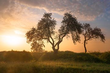 Sonnenaufgang in Schalkwijk von Roelie Steinmann