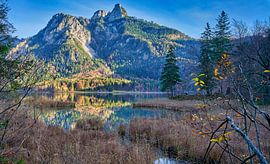 Alpsee Hohenschwangau von Einhorn Fotografie