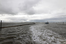 Bilder von Bensersiel und der Nordseeinsel Langeoog. von Bianca Meyering Fotos - BMF