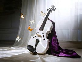 Violon blanc avec des papillons sur du velours