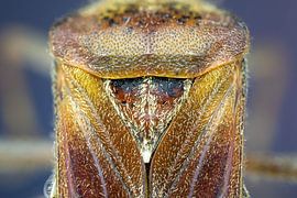 Transformer sur Harm Rhebergen