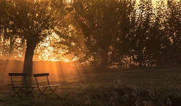 Bänke bei Sonnenaufgang von Guido Rooseleer