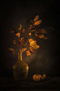 Ephemere Schönheit. Stillleben mit Herbstzweig und Kürbis .