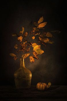 Ephemere Schönheit. Stillleben mit Herbstzweig und Kürbis .