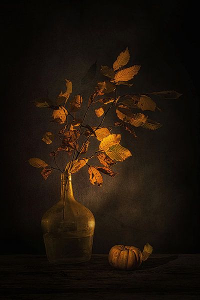 Ephemeral beauty. Still life with autumn branch and pumpkin . by Saskia Dingemans Awarded Photographer